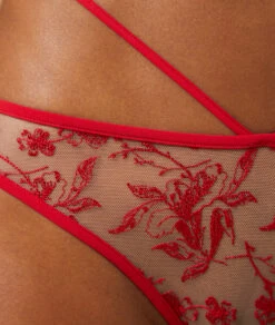 Tanga En Tulle Brodé Détails Liens 10 Tanga En Tulle Brodé Détails Liens -Lingerie Charmeuse 653518473 b