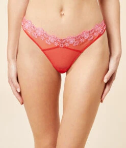 Tanga V Shape En Tulle Brodé